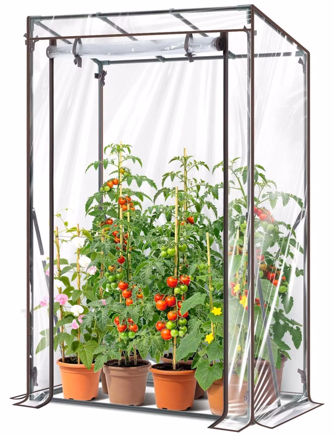 Serra compatta per ortaggi, ideale per pomodori e piante, dimensioni 100 x 50 x 152 cm