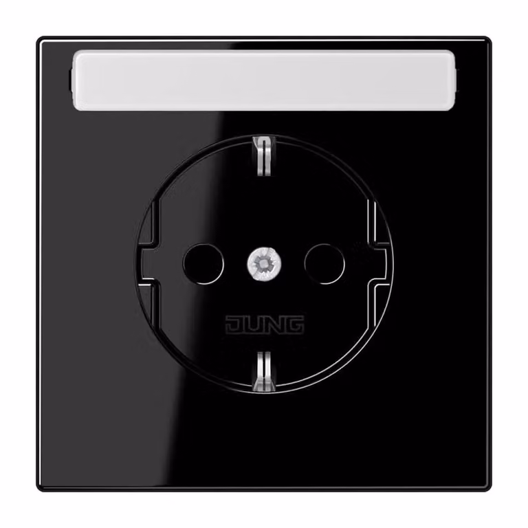 Jung LS1520KINASW Presa SCHUKO® 16 A 250 V ~ nera