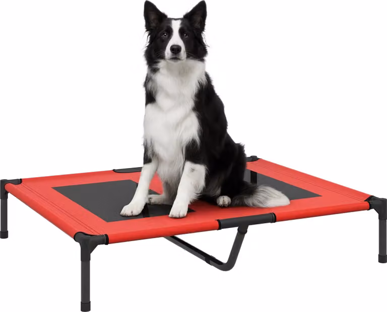 PawHut Letto per cani letto per gatti letto da campeggio letto rialzato per animali tessuto Oxford textilene ad alto comfort metallo microforato 92L x 76W x 18H cm rosso
