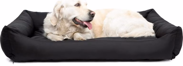 Cuscino per cani Lettino per cani Cuscino per cani Pontes - Eco - 62 x 43 x 15 cm [taglia: L] - Nero