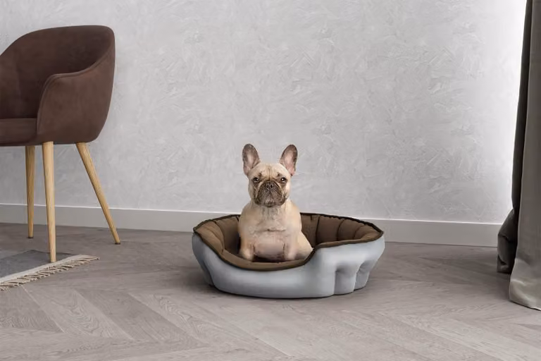Solidchoice - Cuccia grigio chiaro/taupe per cani e gatti, dimensioni 59 x 53 cm