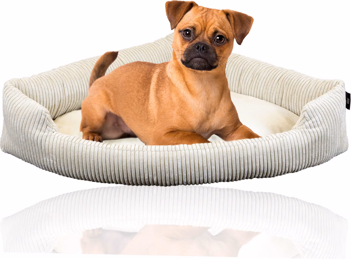 Taglia tubi XXL: cuccia angolare per cani di grossa taglia | Morbida coperta per cani in velluto a coste per angoli | Ampia cuccia per cani di grossa taglia o per 2 cani | Cuscini per cani in velluto a coste di grandi dimensioni