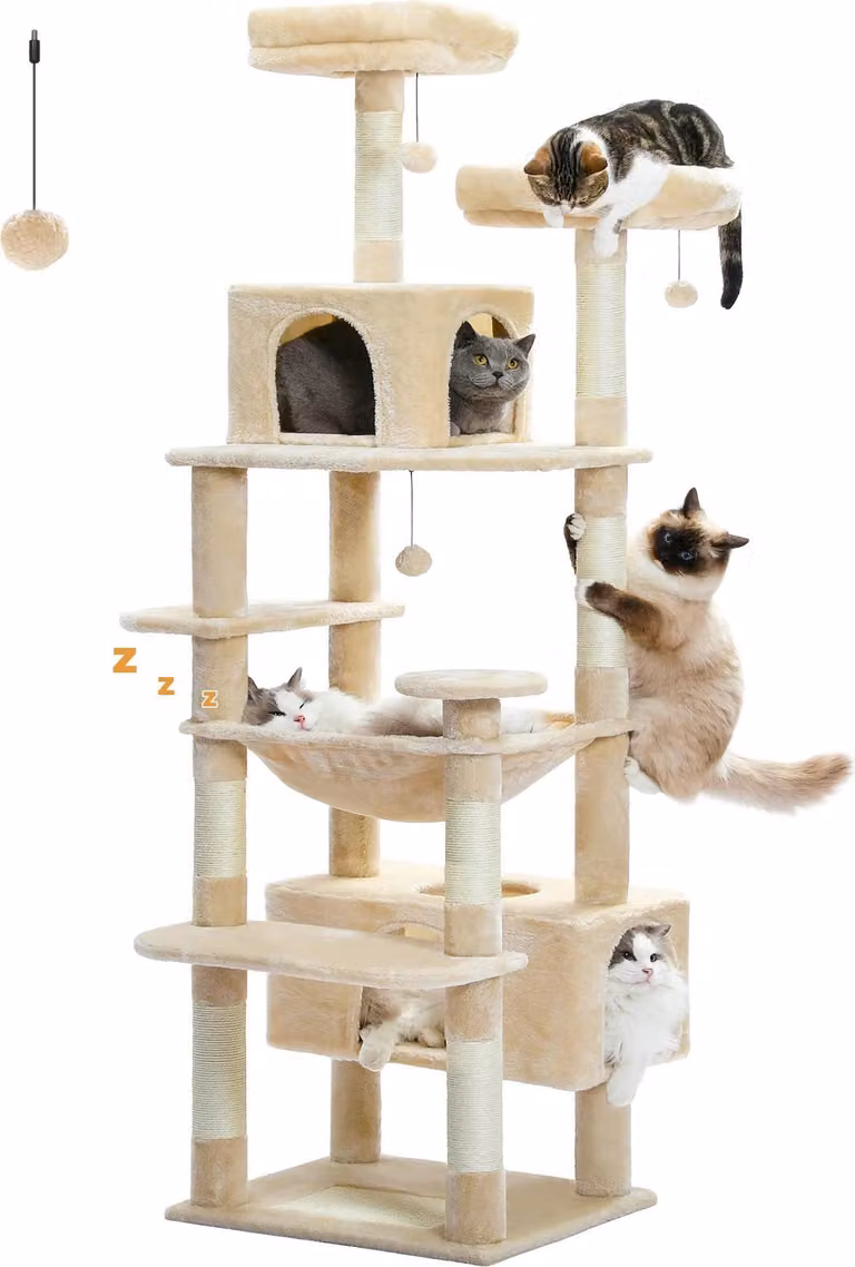 Albero per gatti, design spazioso, superfici tiragraffi resistenti, AMT0204BG, XL