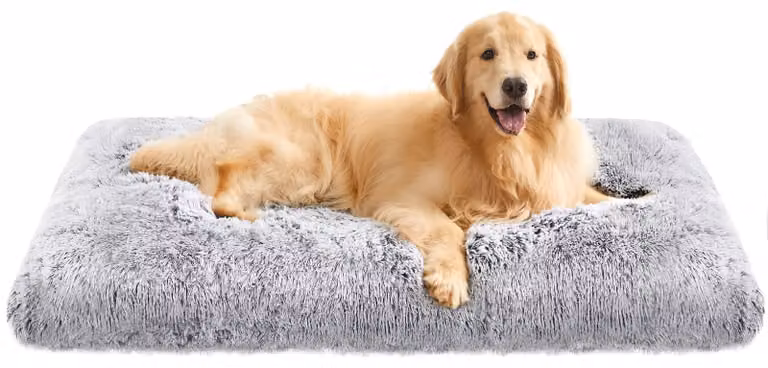 Cuccia per cani morbida e calda - Tappetino per cani in peluche - 122 x 74 cm - Lavabile - Traspirante - Spessore 10 cm - Cuccia per cani
