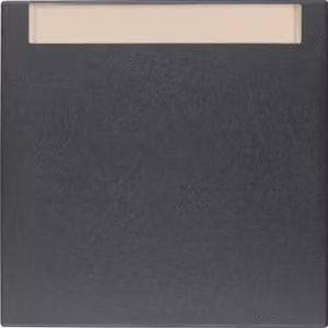 Berker 16261606 Bilanciere con campo di etichettatura antracite, opaco Berker B.3/B.7