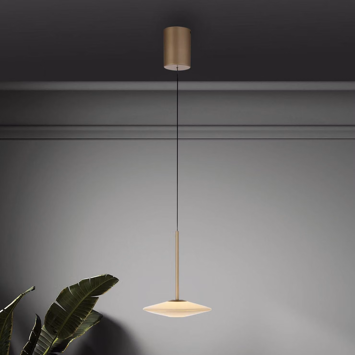 Paul Neuhaus lampada LED a sospensione Elipsa, 1 luce, dimmerabile, Bronzo / Ottone antico, Soggiorno / Sala da pranzo, Vetro