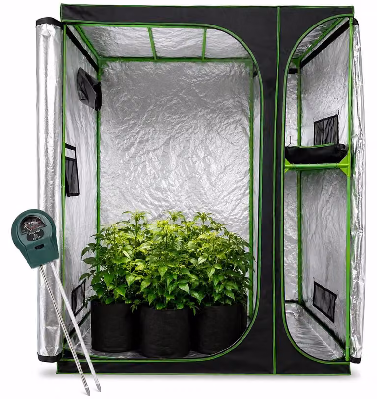 Serra Mucola incl. misuratore di umidità 3 in 1 per piante Growbox tenda per coltivazione indoor - 160x120x205cm