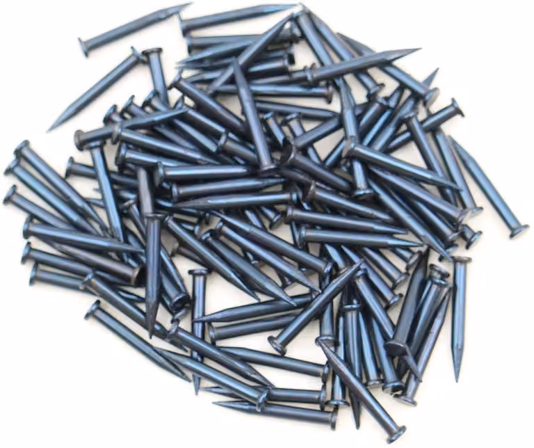 Chiodi in acciaio 100 pezzi, dimensioni 1,2 x 10 mm, punta affilata, testa piatta, colore blu