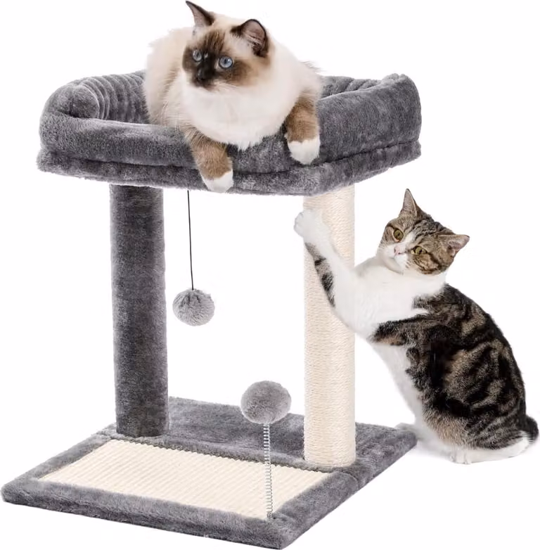 Piccolo tiragraffi da 51 cm con tiragraffi in sisal e palla da gioco - grotta di peluche per gattini in grigio