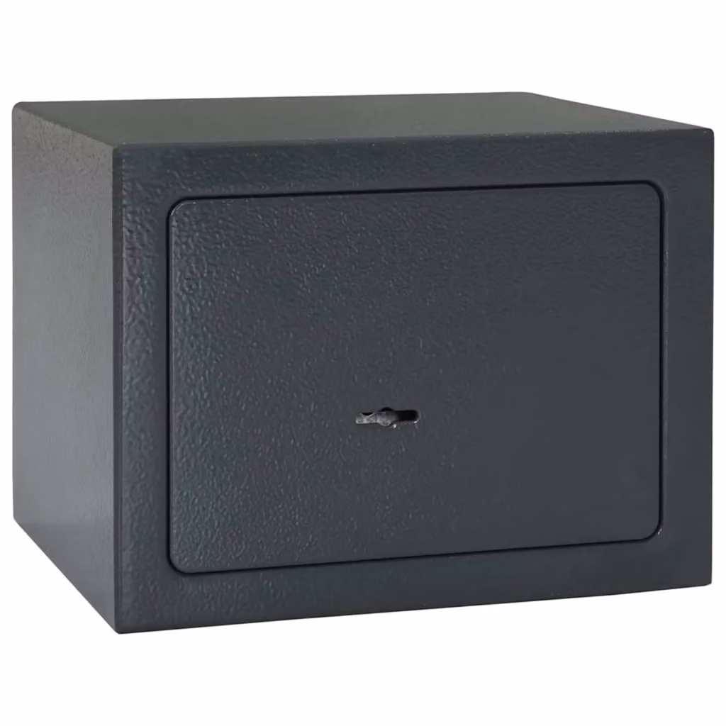 Cassaforte vidaXL in acciaio inossidabile con blocco, colore grigio antracite, L 23 x P 17 x H 17 cm