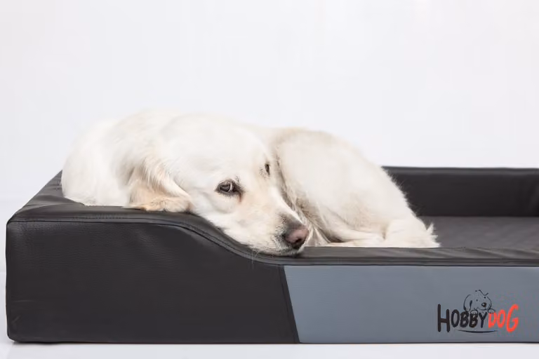 Cuccia per cani Deluxe XL - 93×62 cm, di facile manutenzione e robusta, con materasso rimovibile, OEKO-TEX, per cani di taglia media