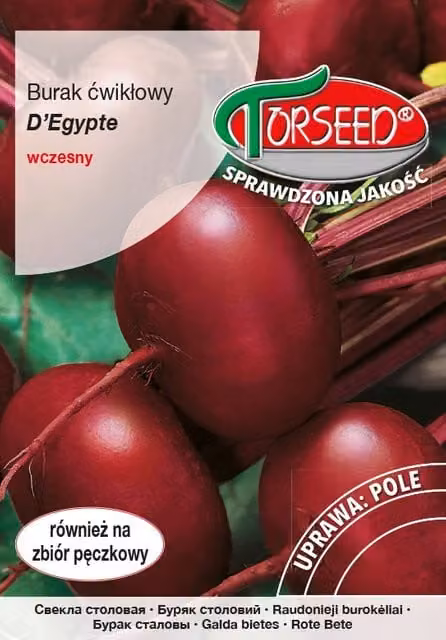 Barbabietola D'Egypte 15g