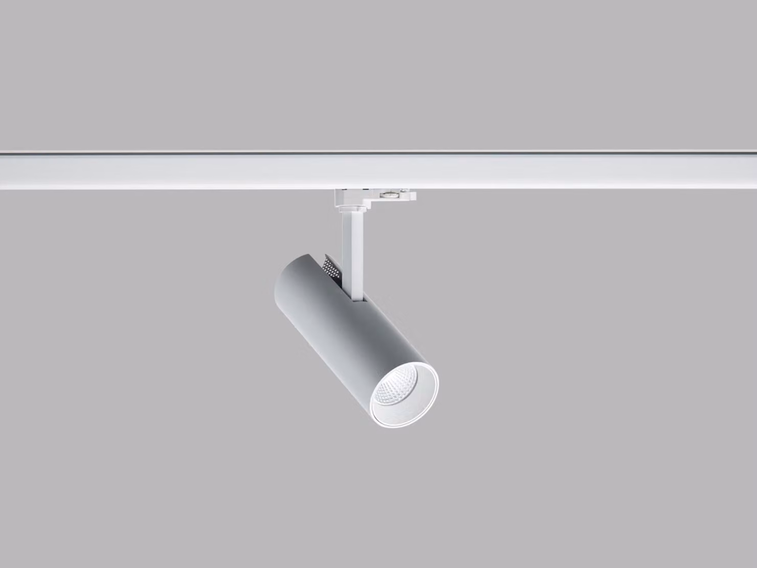 LED2 6090431DT MATRIX 2, W TRIAC 20W 3000K striscia LED bianca