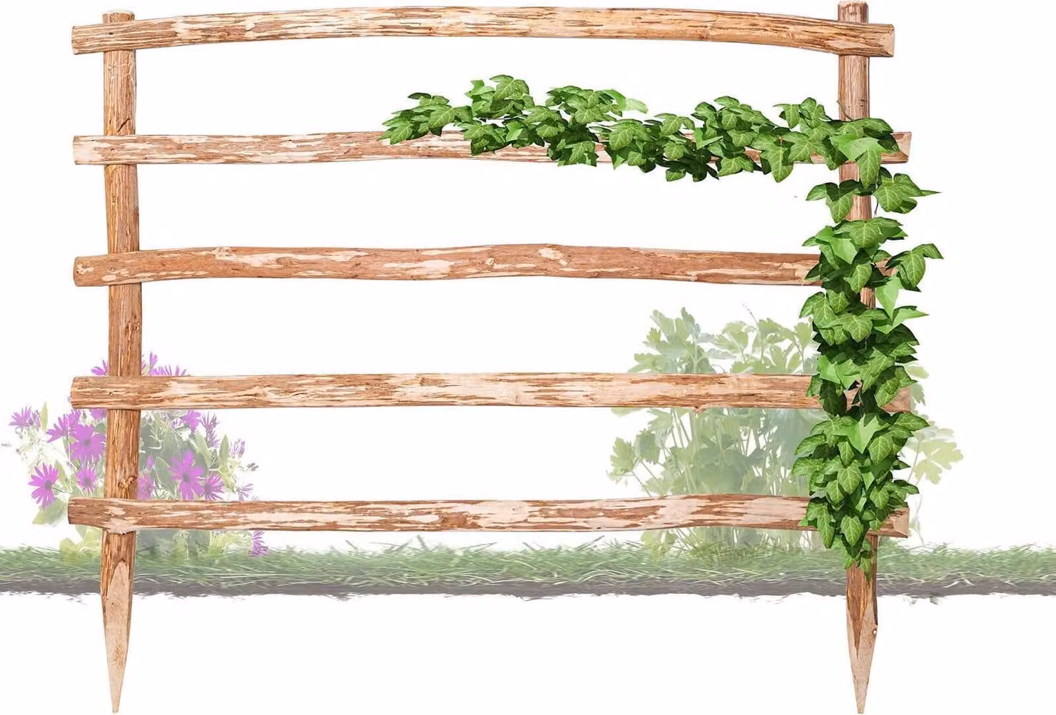Supporto naturale in legno per piante rampicanti, altezza 180 x larghezza 180 cm, disponibile in 33 diverse misure per le vostre piante rampicanti