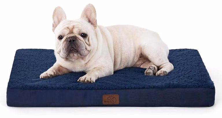 Cuccia ortopedica per cani, 76x51x8 cm, blu navy, lavabile, adatta a cani di piccola taglia