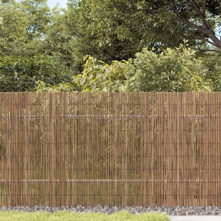Maison Exclusive - Recinzione da giardino 1000x80 cm in canna