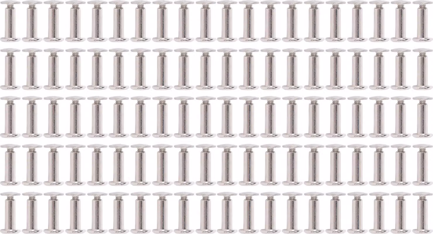 100 set Rivetti e viti in acciaio inox M2.5 piatto testa rotonda Bolde Fastenel Set per artigianato in pelle Corates 3.5x10x7mm / 0.14x0.39x0.28in