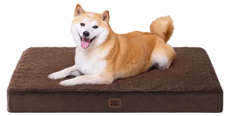 Solidchoice - Cuccia ortopedica per cani di taglia media, cuscino per cani lavabile