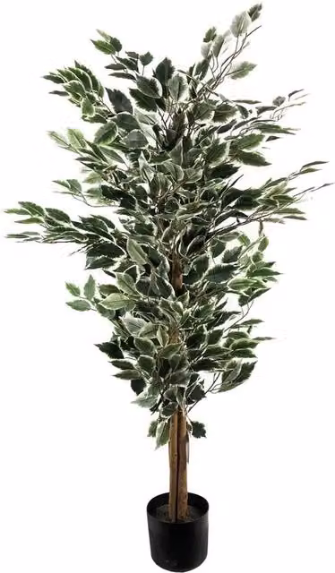 Ficus artificiale con foglie, diverse materiali, naturale, 130 cm alto