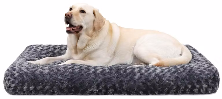 Solidchoice - Cuccia lavabile per cani di grossa taglia, grigio scuro, 91 x 68 cm