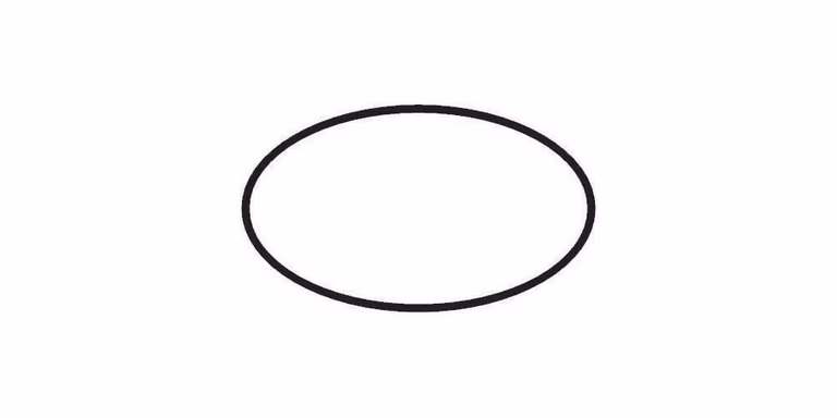 Hansgrohe O-ring 25x1,5mm