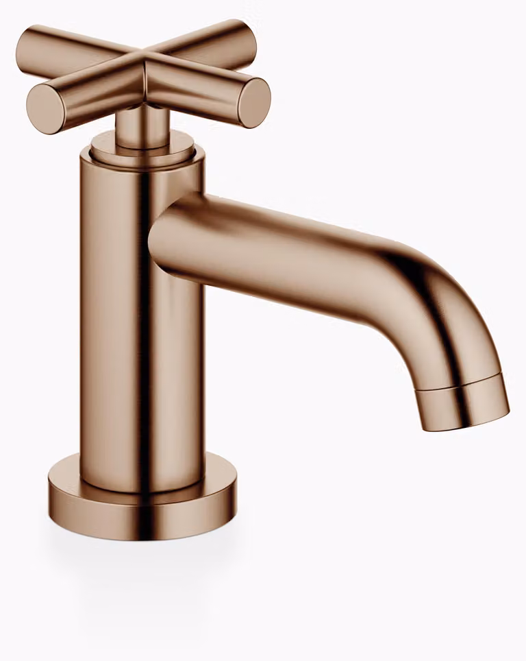 Dornbracht TARA robinet d'arrêt, eau froide, saillie 100mm, 17500892-42, 17500892-42