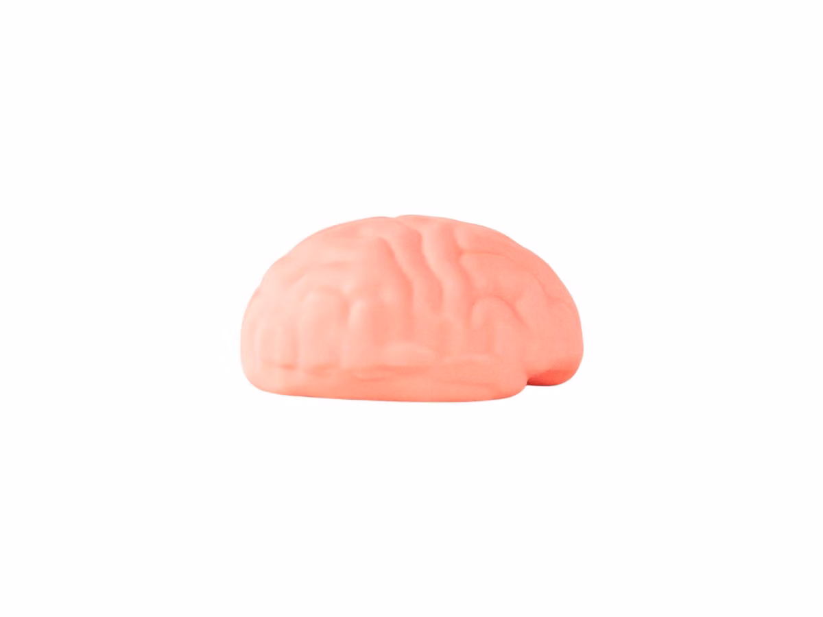 Brain Wash Saponetta