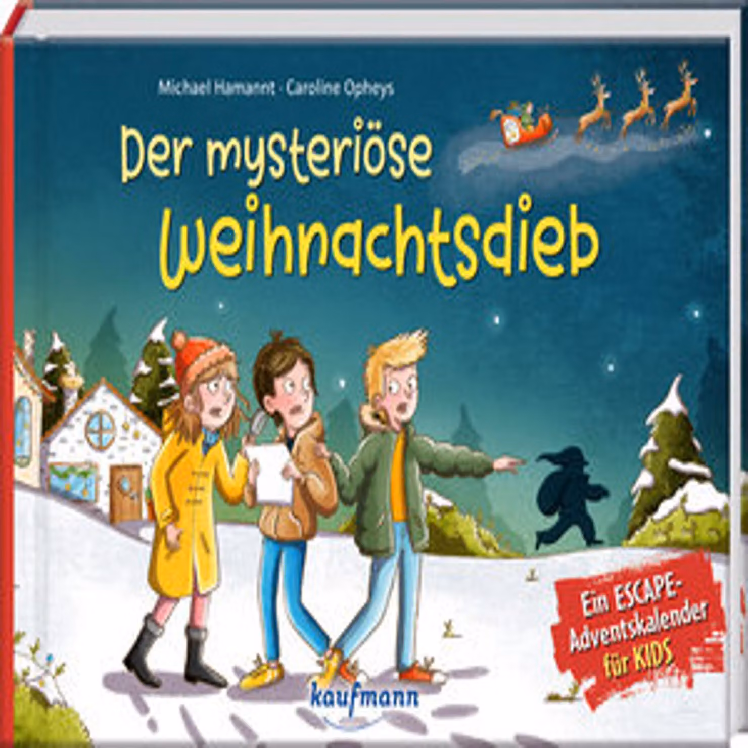 Il misterioso ladro di Natale - un calendario dell'avvento per bambini