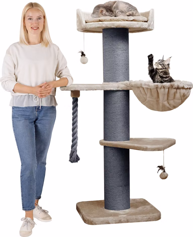 HAPPYPET Premium Tiragraffi per gatti di grossa taglia "Cooper" – Tiragraffi alto 150 cm, tiragraffi per Maine Coon, tronchi spessi 20 cm - Cappuccino