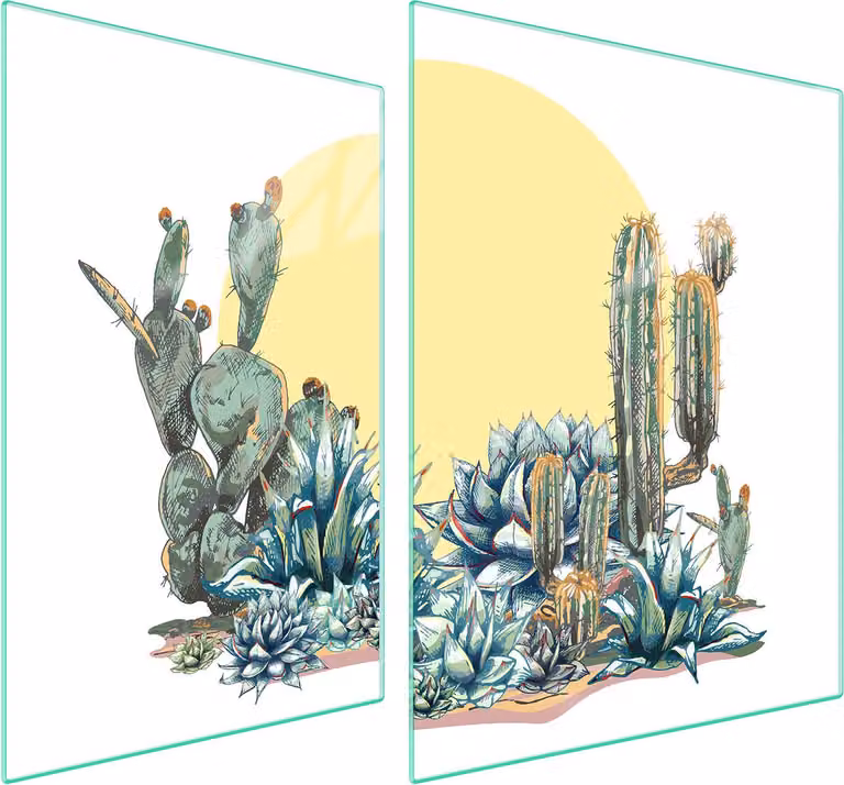 Piastra Di Protezione In Vetrina Per Cactus 70X52