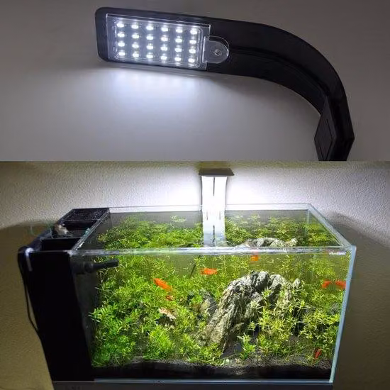 Lampada per acquari a spettro completo da 10 W con clip, LED bianchi e blu, nera, 220 V