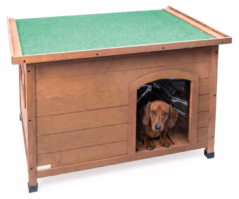 Casetta in legno per cani da esterno, con tetto apribile