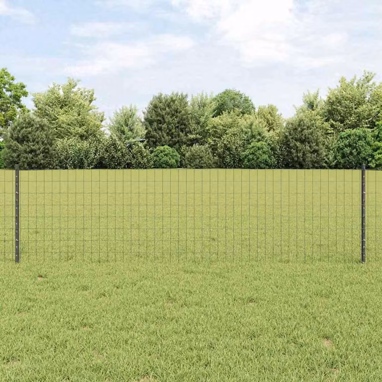Maison Exclusive - Recinzione con Posto Grigio 0,6 x 25 m Acciaio e PVC