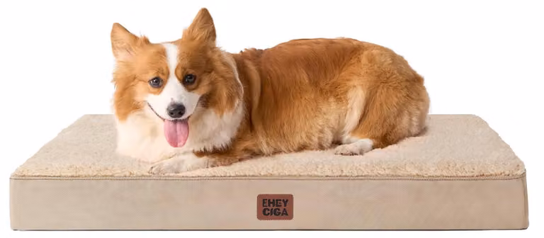 Letto ortopedico per cani di taglia media - Cuscino morbido e lavabile