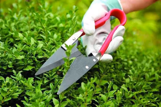 Tubo per tosaerba compatto rosso 300 mm × 2550 mm × 850 mm - Tosaerba, cura del giardino