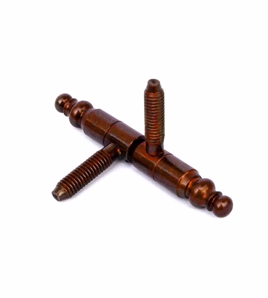 Cerniere per infissi Anuba in stile in ferro bronzato 2pz diam 9 mm