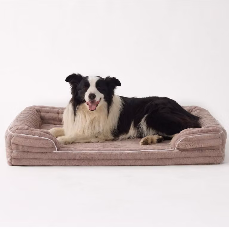 Omgoods - Cuccia ortopedica per cani con coperta lavabile e fodera impermeabile