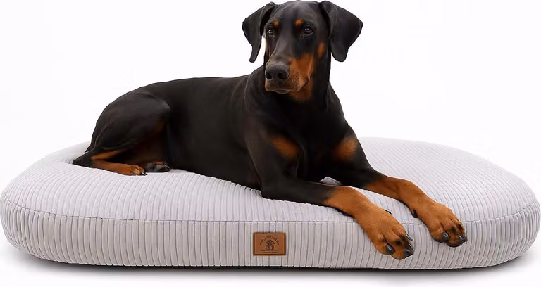 Letto ortopedico per cani Cuscino per cani Divano per gatti 130x75CM