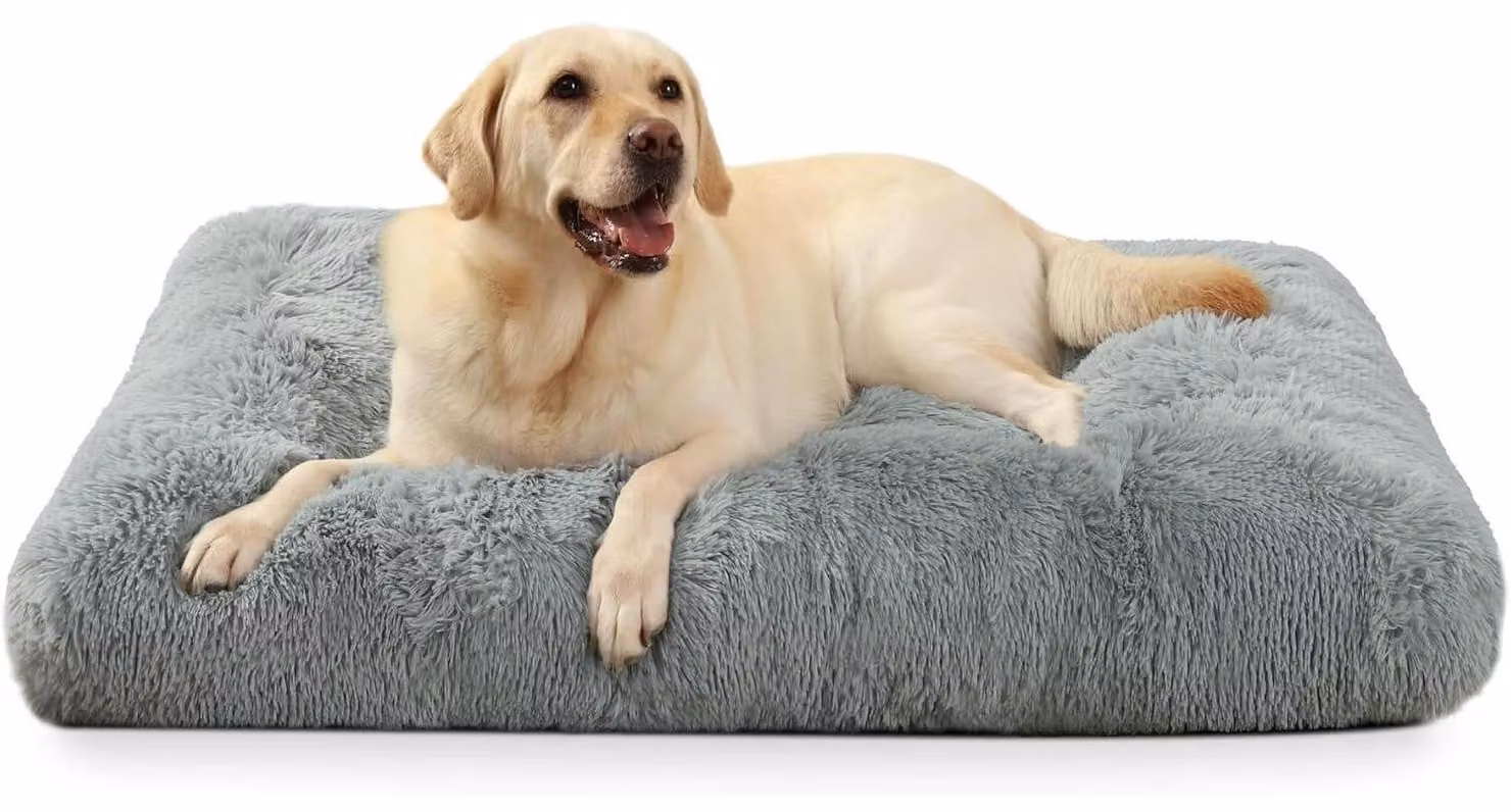Cuccia per cani, lavabile, in peluche, grigia, 90x60 cm, con base antiscivolo