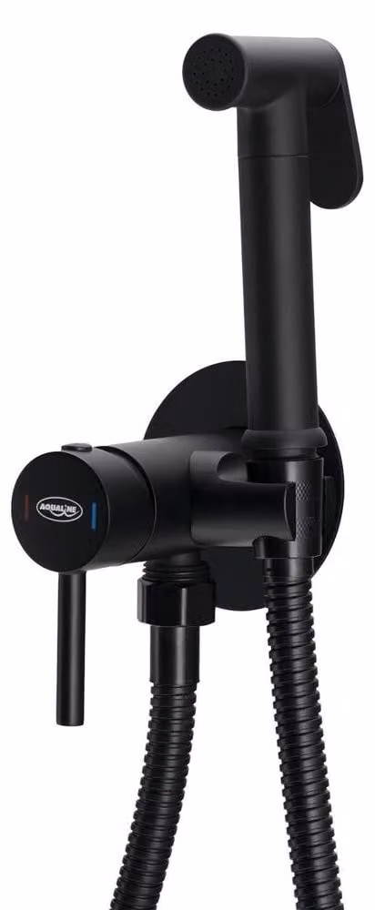 Aqualine Bidet - Miscelatore da incasso per bidet con doccia, nero opaco SK302B