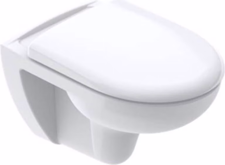 VIGOUR Clivia set per WC sospeso 54 cm Sedile per WC con chiusura ammortizzata e cerniere in acciaio inox, bianco