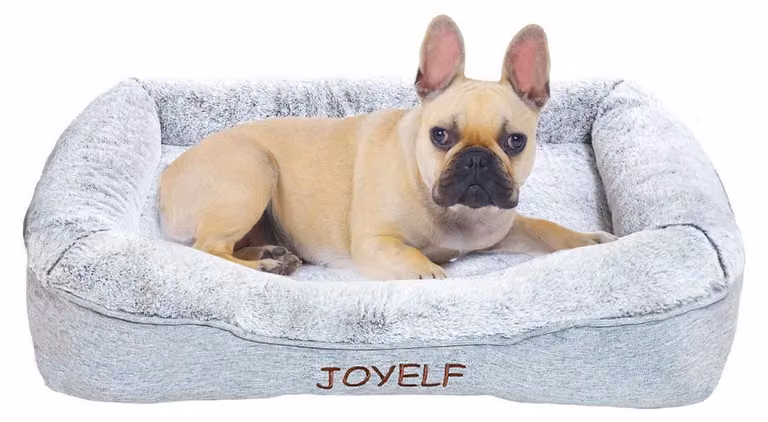 Cuccia per cani in memory foam, ortopedica, lavabile, con tappetino removibile, dimensioni 70x50x13 cm