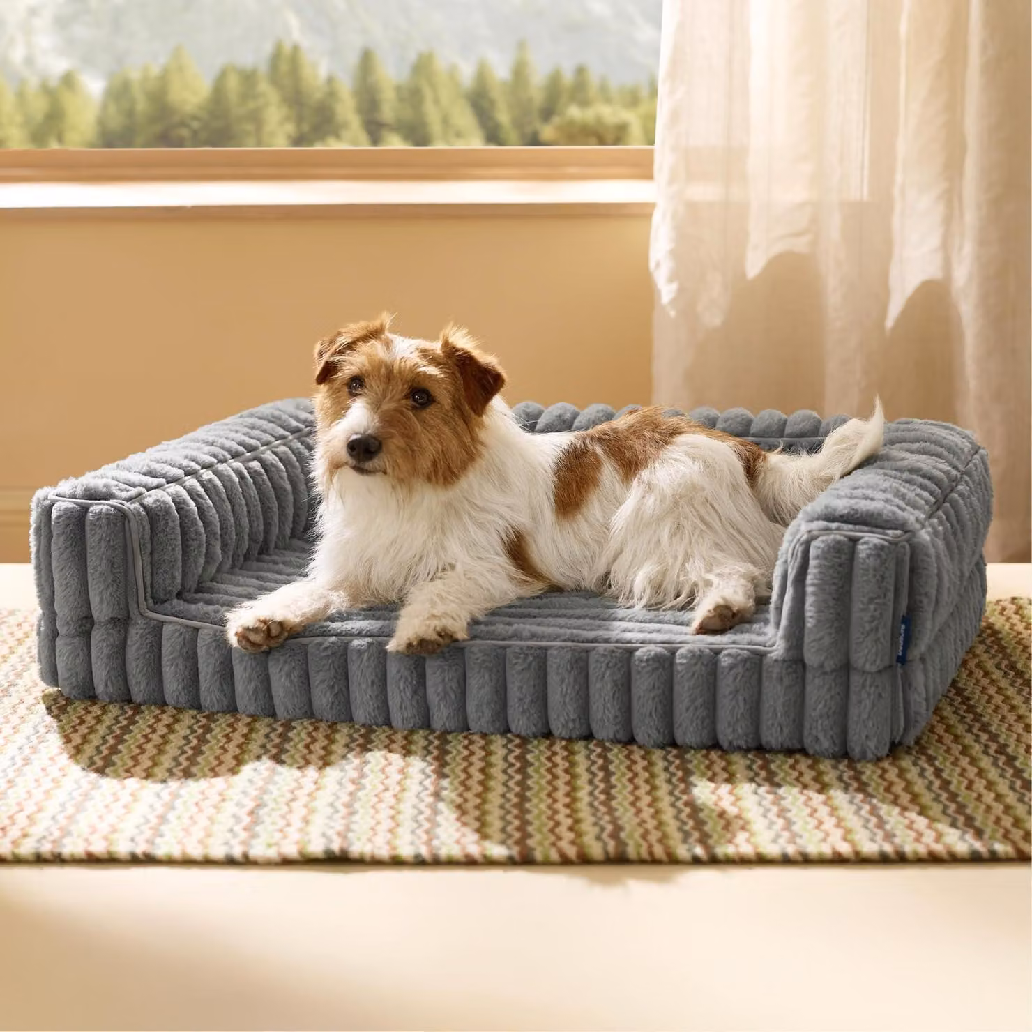 Cuccia ortopedica per cani, dimensioni M, 76x51x16,5 cm, colore grigio, con memory foam e poggiatesta
