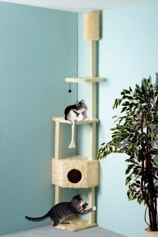 Albero per graffiare per gatti, color beige