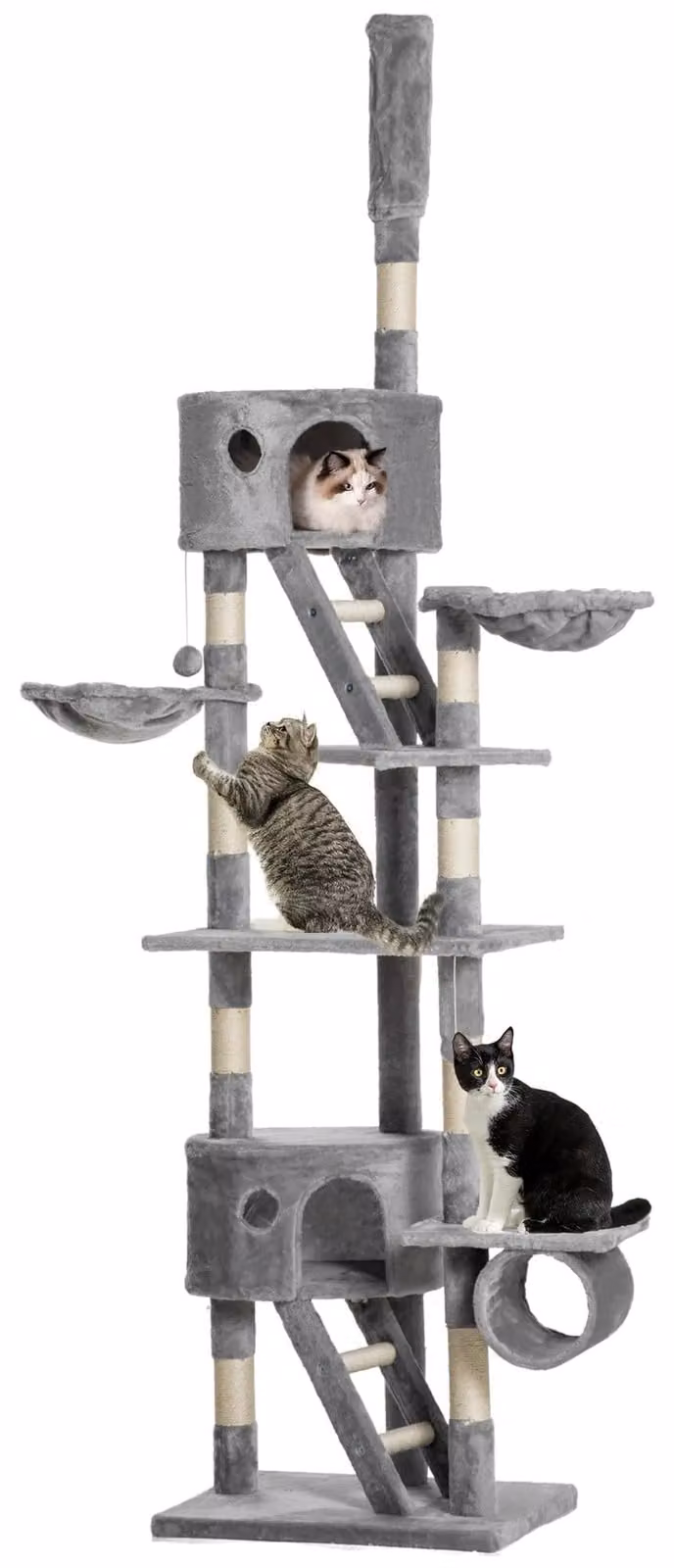 Pawhut Tiragraffi per gatti, albero da arrampicata, altezza regolabile fino al soffitto, grigio chiaro