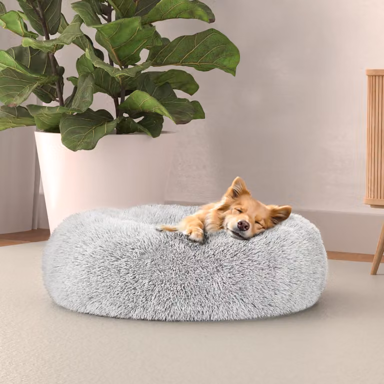 Lenzuolo per letto italiano, cuccia per cani "Dreams", collezione "Sogni e Capricci", articoli per animali domestici, creme, 50x50 cm
