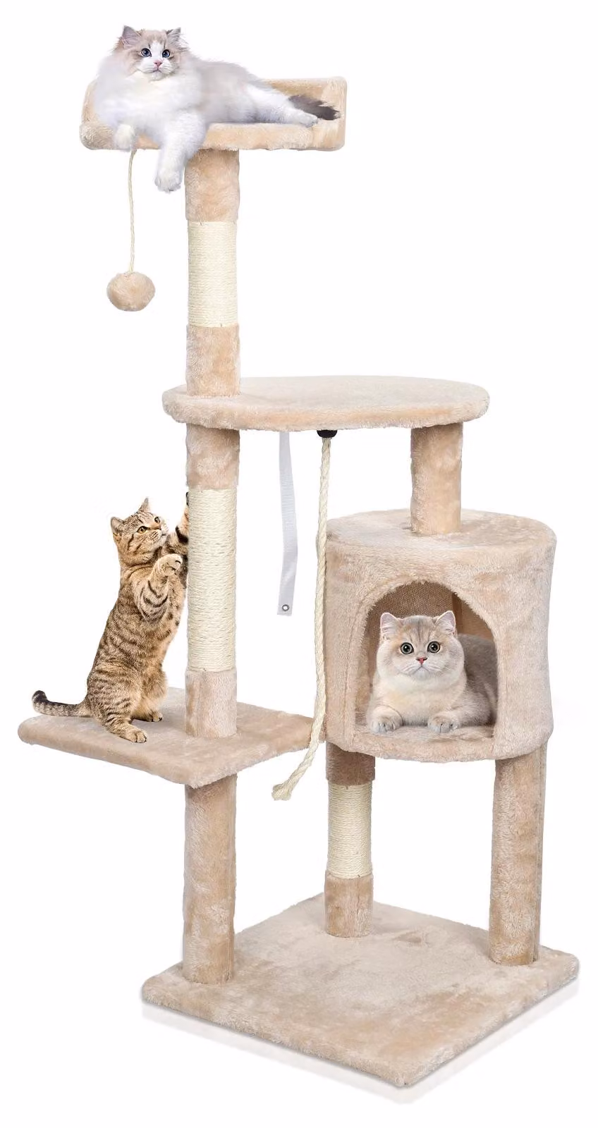 Albero per gatti da interno - Modello PE00113001 - Realizzato in legno - 5+ livelli - Pali per graffiare e cuccia per gatti - Piattaforme imbottite - Colore: PE00113001