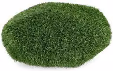 Tavolo Bizzotto Sasso 0143359 con piano ovale in plastica verde per adulti