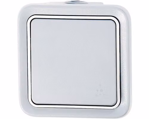 Legrand Plexo55 Interruttore a bilanciere contatto NA a 1 polo a tenuta stagna per montaggio a parete grigio 069720