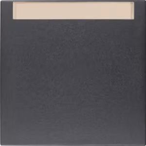Berker 16261606 Bilanciere con campo di etichettatura antracite, opaco Berker B.3/B.7